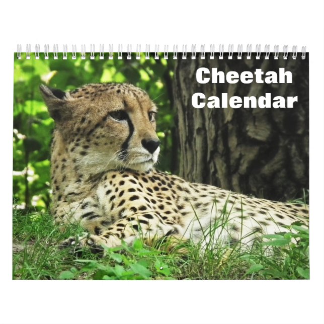 Cheetah 2025 kalender (Omslag)