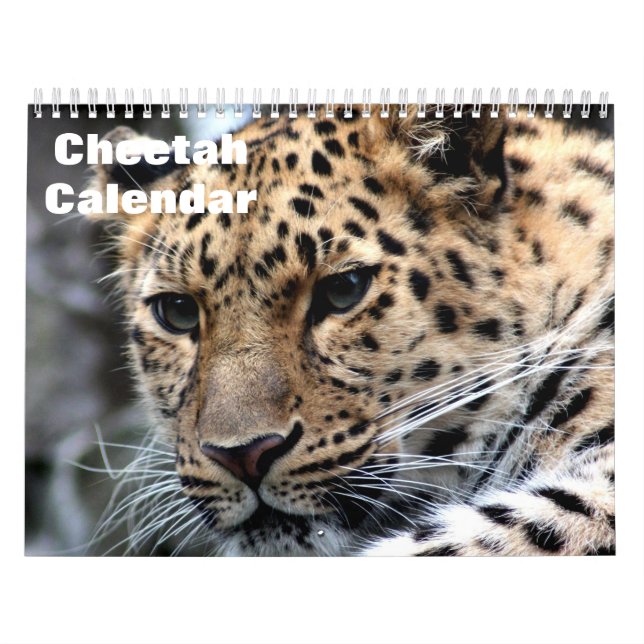 Cheetah 2025 kalender (Omslag)
