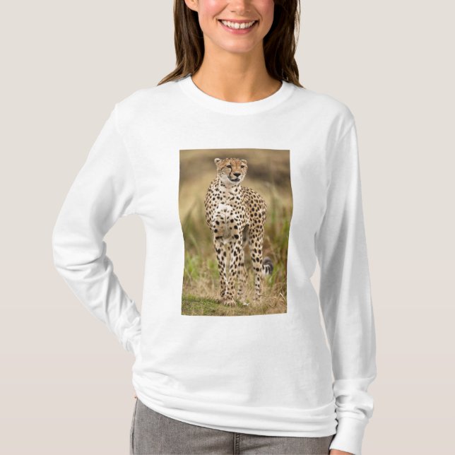 Cheetah, Acinonyx jubatus, i Masai Mara Tee Shirt (Framsida)