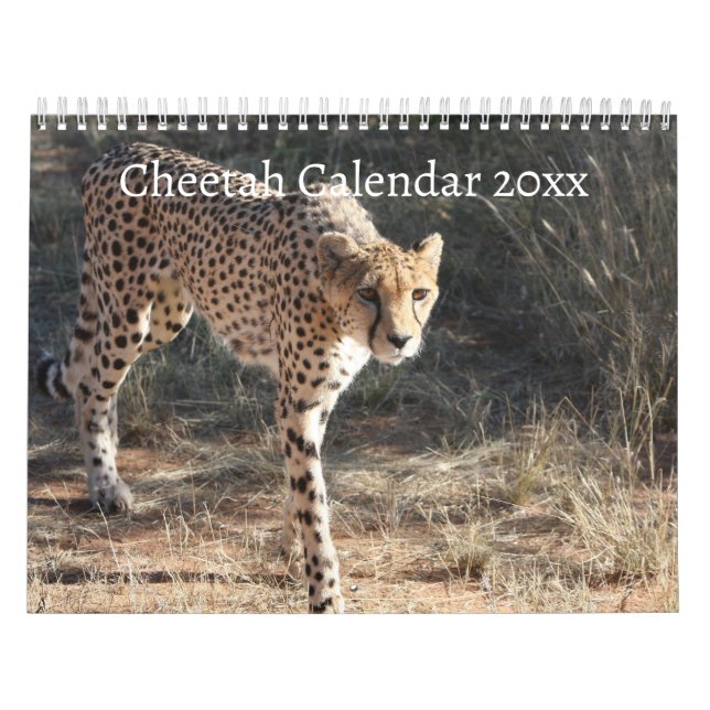 Cheetah (Acinonyx Jubatus) Kalender (Omslag)