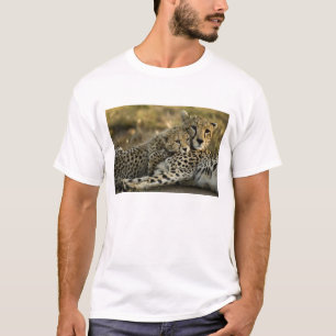 Cheetah, Acinonyx jubatus, med unge i Masai 2 Tee Shirt
