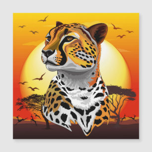 Cheetah African Kattdjur Vild Animal
