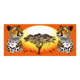 Cheetah African Kattdjur Vild Animal Fototryck