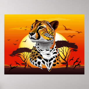 Cheetah African Kattdjur Vild Animal Poster