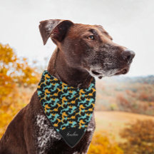 Cheetah Animal Print Teal Script Namn Pet Bandana