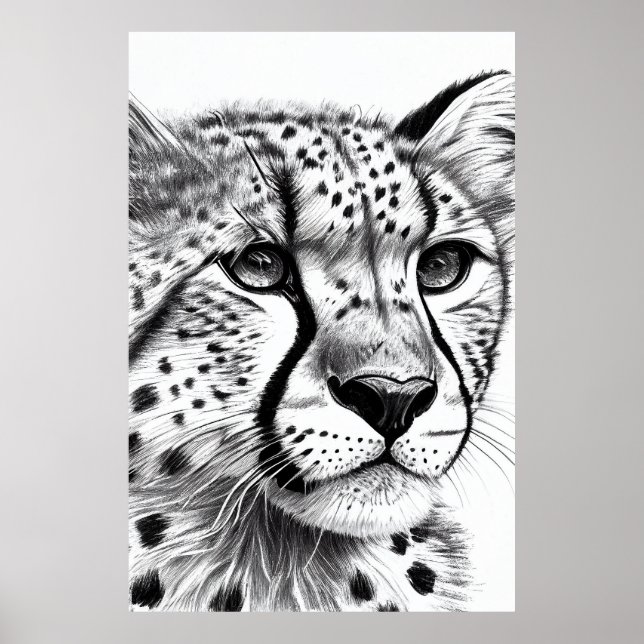 Cheetah Animal Vild Nature Illustration Line Epic Poster (Framsidan)