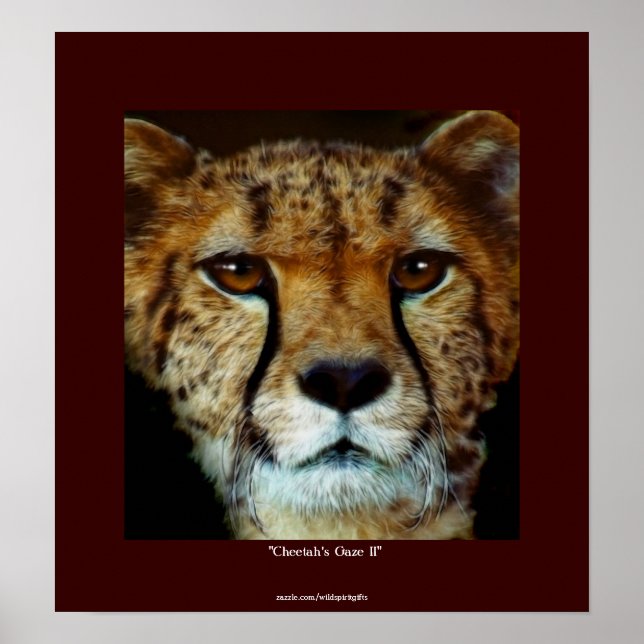 CHEETAH ANSIKTE Wildlife Art Poster (Framsidan)