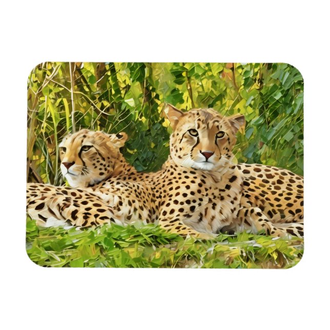 Cheetah Assions - Resten i Vilden Magnet (Horisontell)