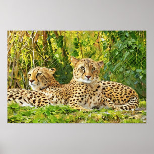 Cheetah Assions - Resten i Vilden" Poster