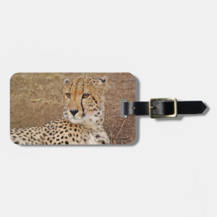 Cheetah Bagagebricka