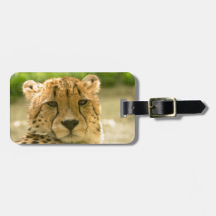 Cheetah Bagagebricka