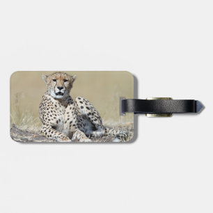 Cheetah Bagagebricka