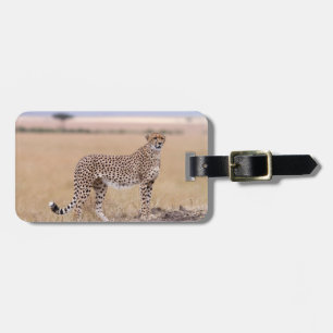 Cheetah Bagagebricka
