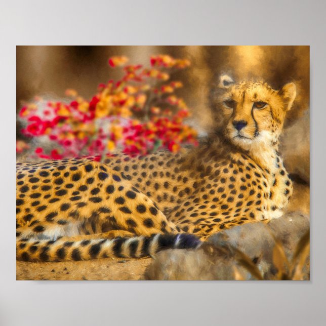 CHEETAH BARN BARN POSTER (Framsidan)