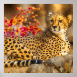 CHEETAH BARN BARN POSTER