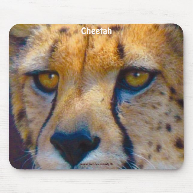 Cheetah Big Cat Wildlife Art Mousepad Musmatta (Framsidan)