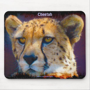 Cheetah Big Cat Wildlife Art Mousepad Musmatta