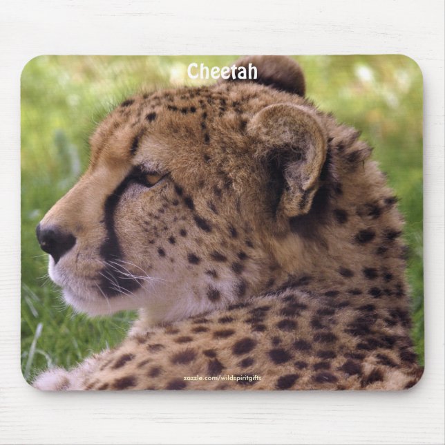 Cheetah Big Cat Wildlife Photo Mousepad Musmatta (Framsidan)