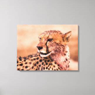 Cheetah Canvastryck
