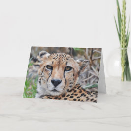 Cheetah Cat Art Porträtt Note-kort Kort