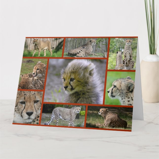 Cheetah-Collage001 Kort (Framsida)