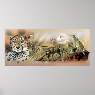 Cheetah Collection Poster