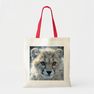cheetah-cub10x10 tygkasse