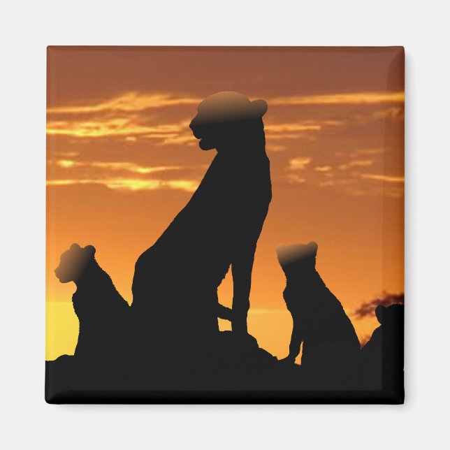 Cheetah-familjen Magnet (Framsidan)