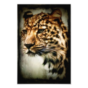 Cheetah Fototryck