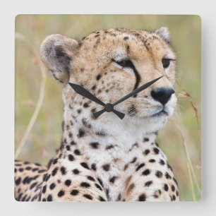 Cheetah Fyrkantig Klocka