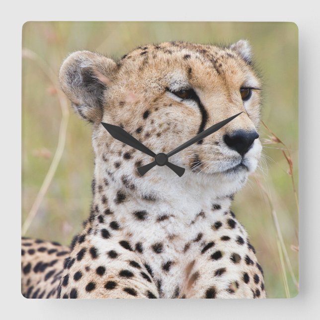 Cheetah Fyrkantig Klocka (Framsida)