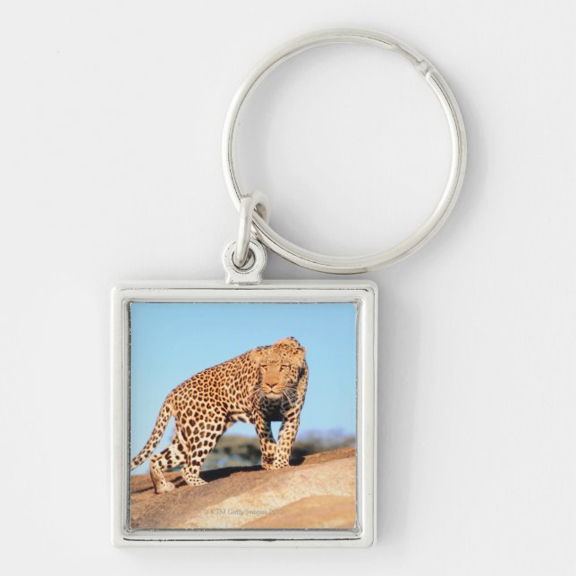 Cheetah Fyrkantig Silverfärgad Nyckelring (Framsidan)