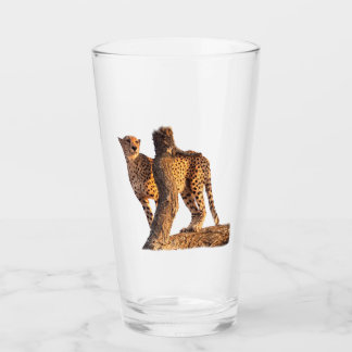 Cheetah Glass Glaskopp