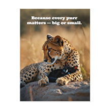 Cheetah Guardian, Kitten Heart