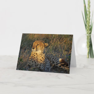CHEETAH HÄLSNING KORT