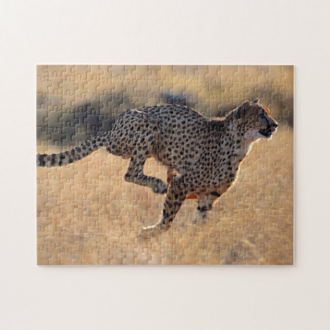 Cheetah i aktion, Jigszawa Puzzle Pussel (Horisontell)