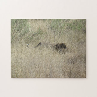 Cheetah i Botswana, afrikapussel Pussel