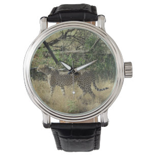 Cheetah i Samburu Armbandsur