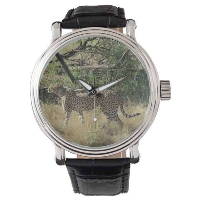 Cheetah i Samburu Armbandsur (Framsida)