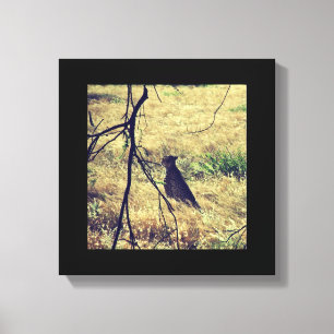 Cheetah i Samburu Canvastryck