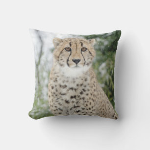 Cheetah i Snö Kudde