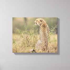 Cheetah i Vilden Anger Wrapped Canvas Print