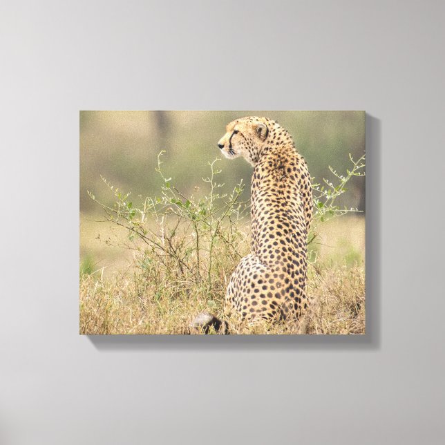 Cheetah i Vilden Anger Wrapped Canvas Print (Framsida)