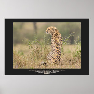 Cheetah in Quiet Contemplation Personalize Text Poster
