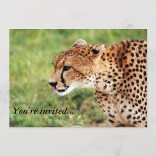 Cheetah-inbjudningskort Inbjudningar
