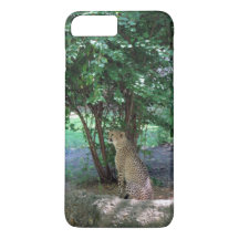 Cheetah iphone case
