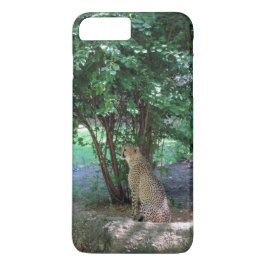Cheetah iphone case