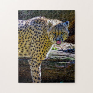 Cheetah Jigszawa Puzzle Pussel