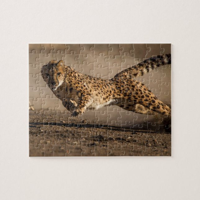 Cheetah Jigszawa Puzzle Pussel (Horisontell)