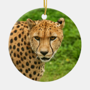Cheetah Julgransprydnad Keramik